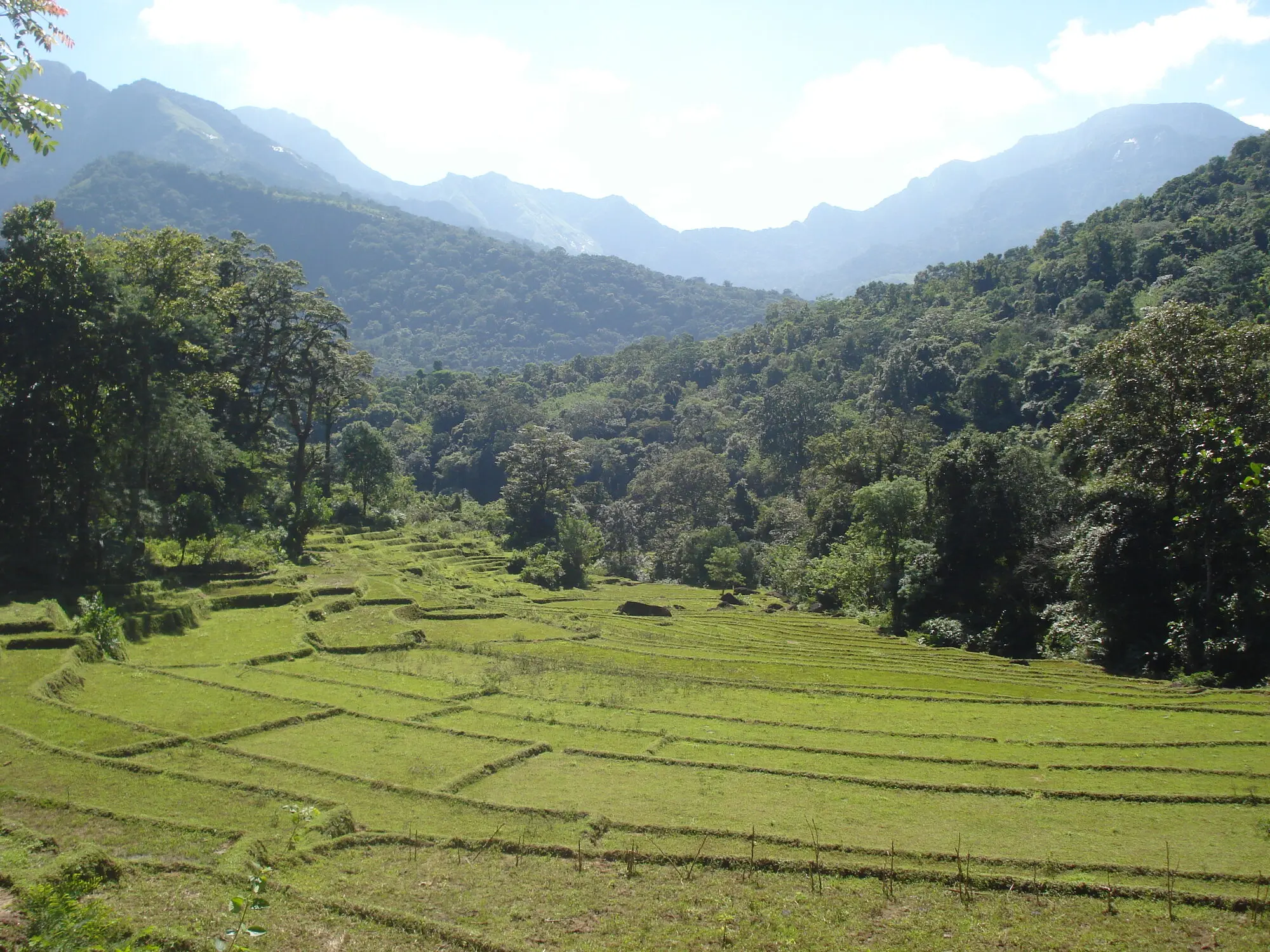 Village countryside