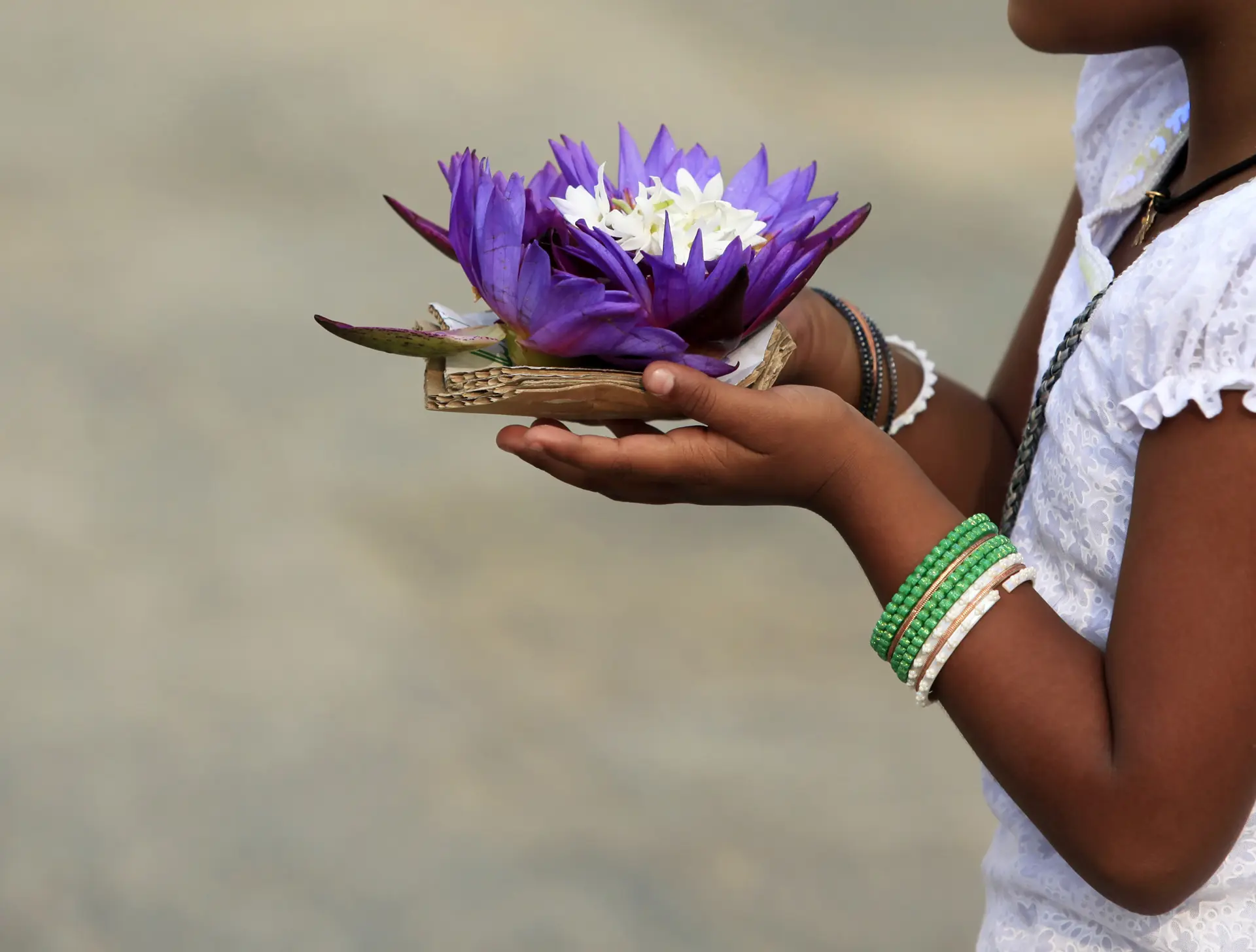 Lotus flower offering