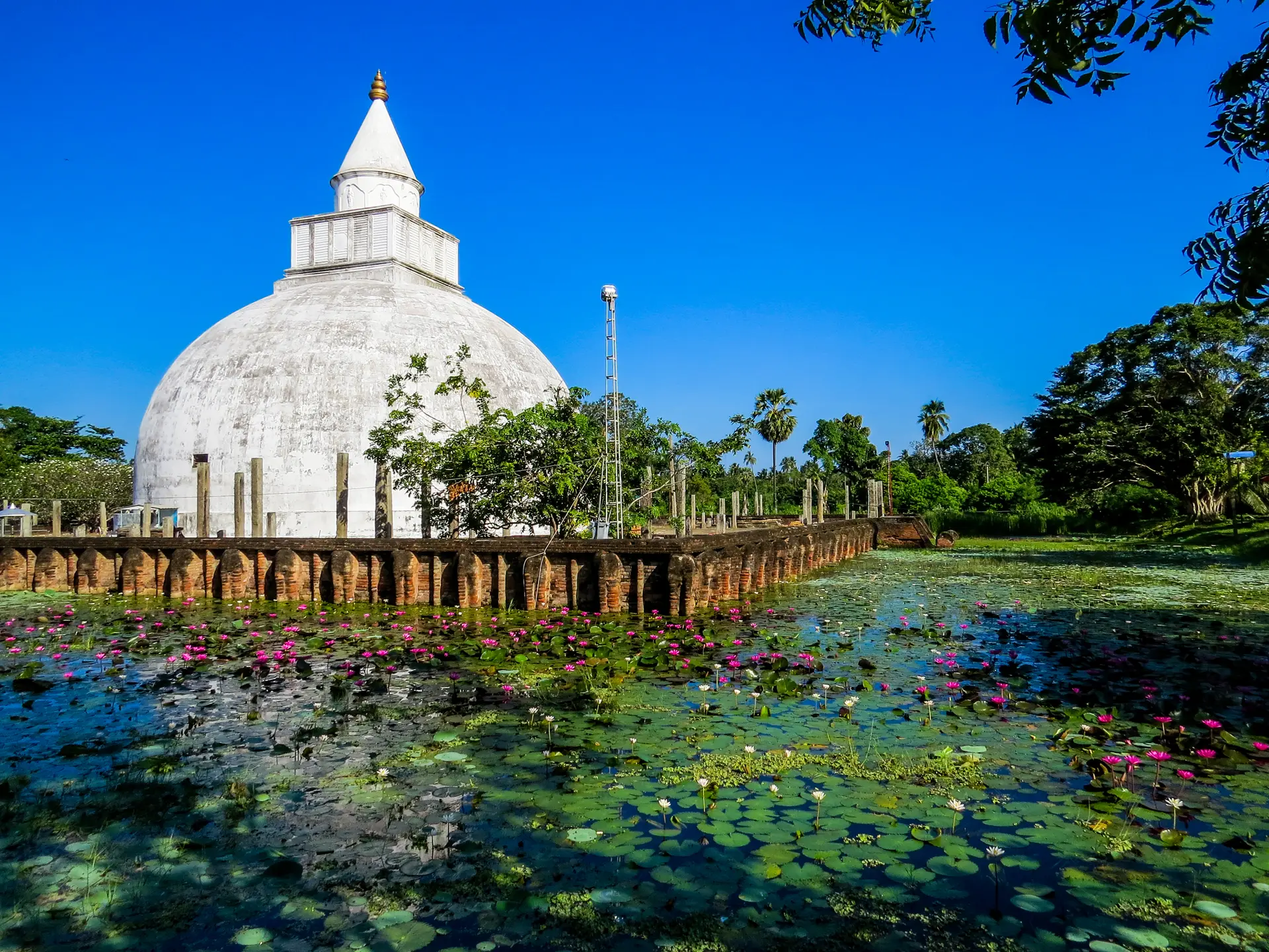 Stupa and lotus pond