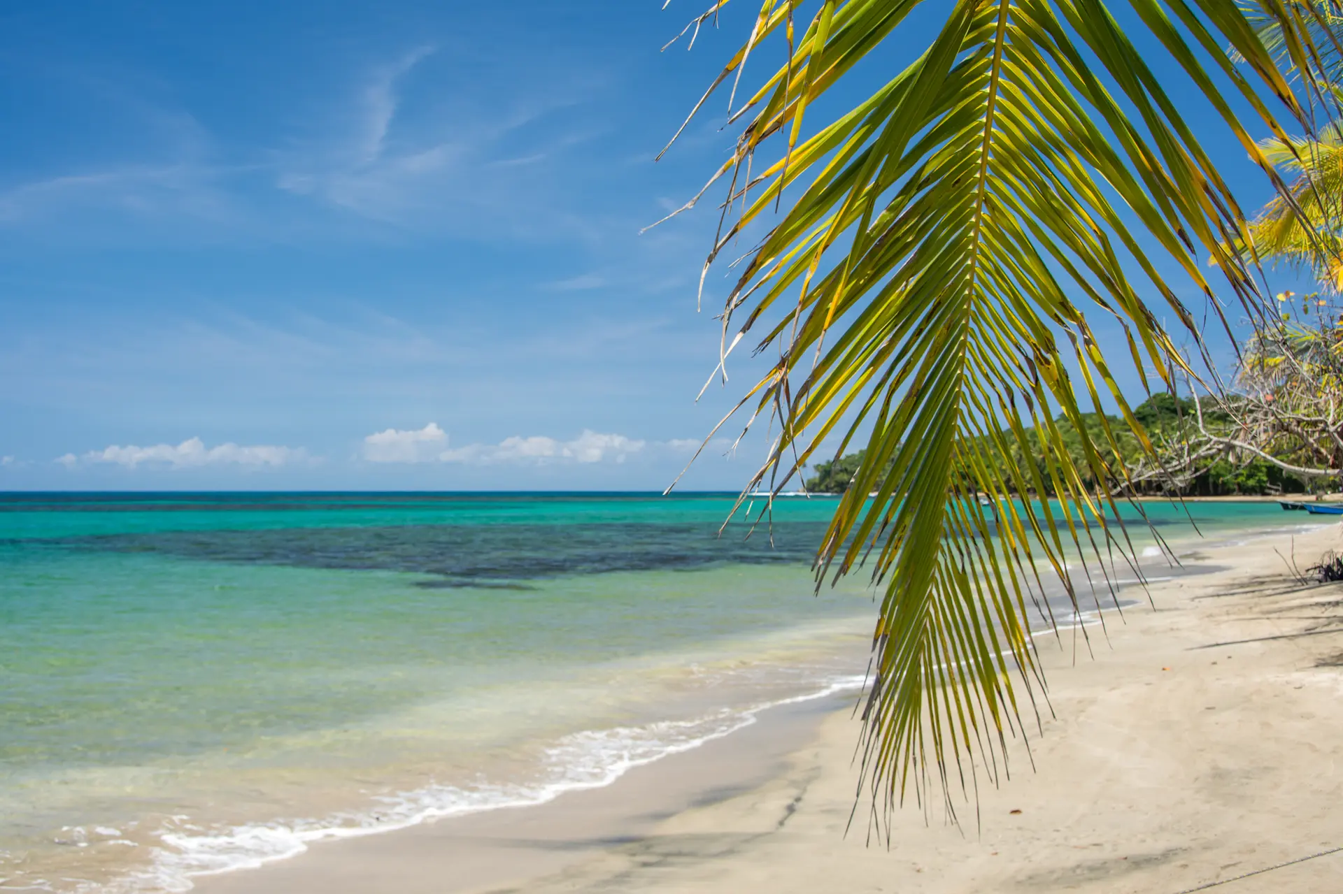 South coast beach